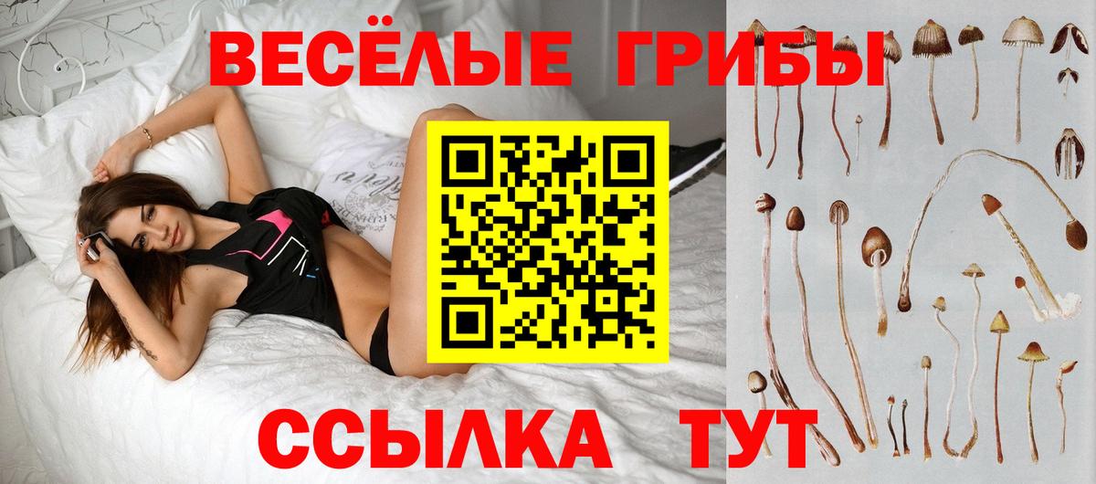 купить наркотик  Псилоцибиновые грибы мухоморы  Вход с VPN  Новокубанск 